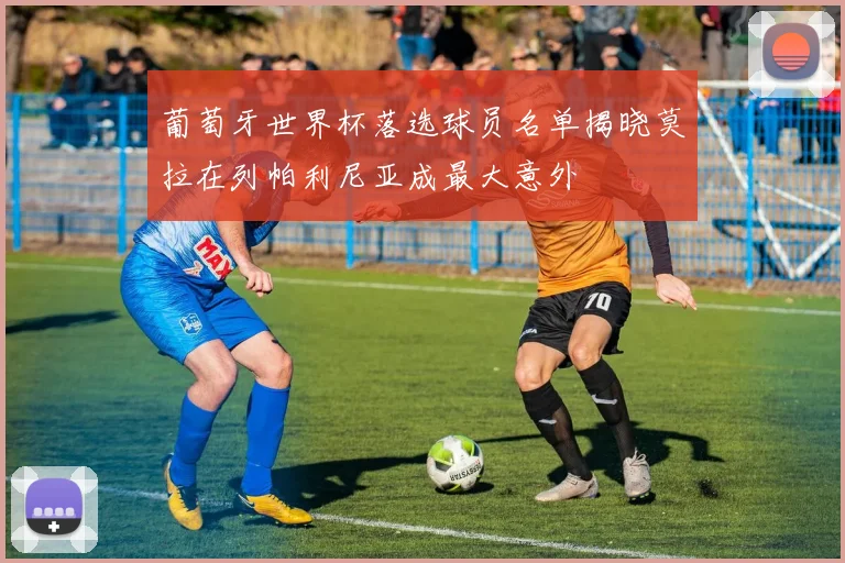葡萄牙世界杯落选球员名单揭晓莫拉在列帕利尼亚成最大意外